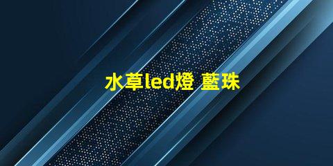 水草led燈 藍珠 紅珠